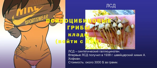 гашик Белоозёрский