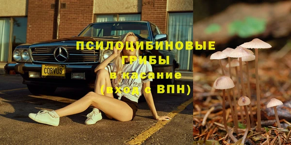 гашик Белоозёрский