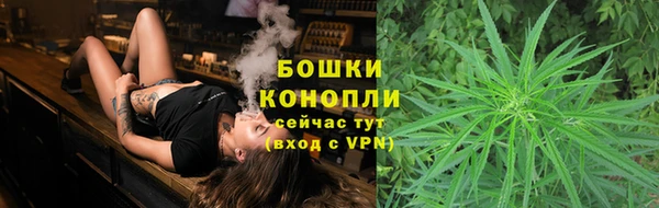прущий лед Белокуриха